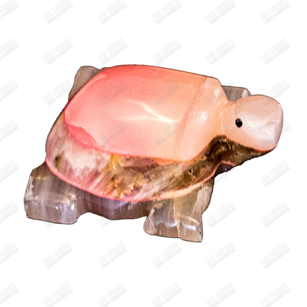 Hand Carved Glow-in-the-Dark Turtles
