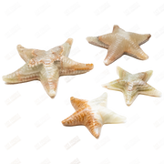 Hand Carved Green Onyx Marble Starfish
