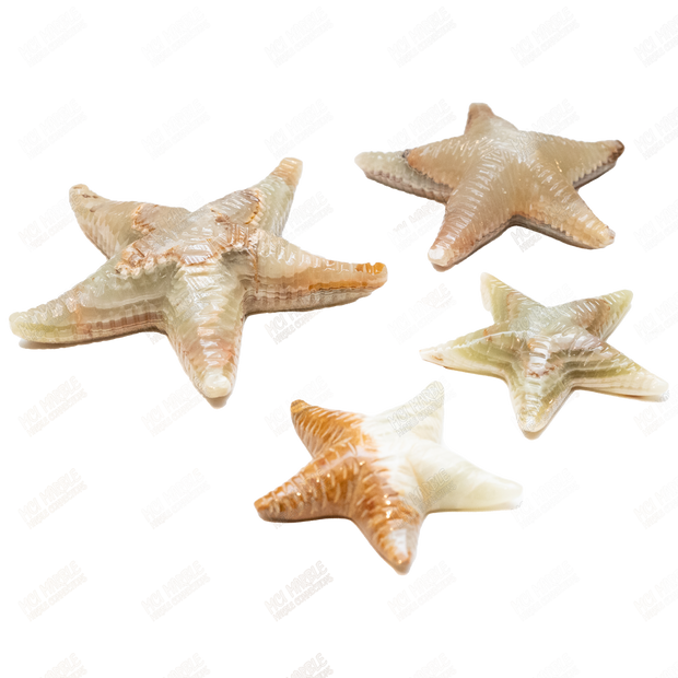 Hand Carved Green Onyx Marble Starfish