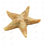 Hand Carved Green Onyx Marble Starfish