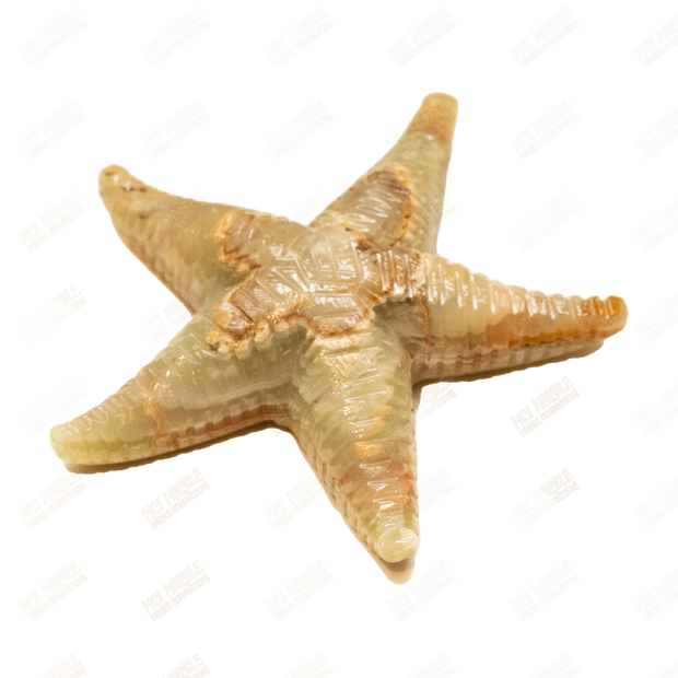 Hand Carved Green Onyx Marble Starfish