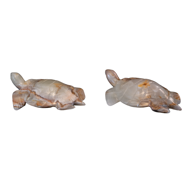 Hand Carved Onyx Turtle