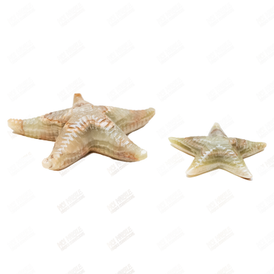 Hand Carved Green Onyx Marble Starfish