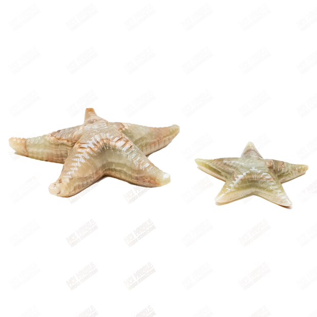 Hand Carved, Glow-in-the-Dark Marble Starfish Statue
